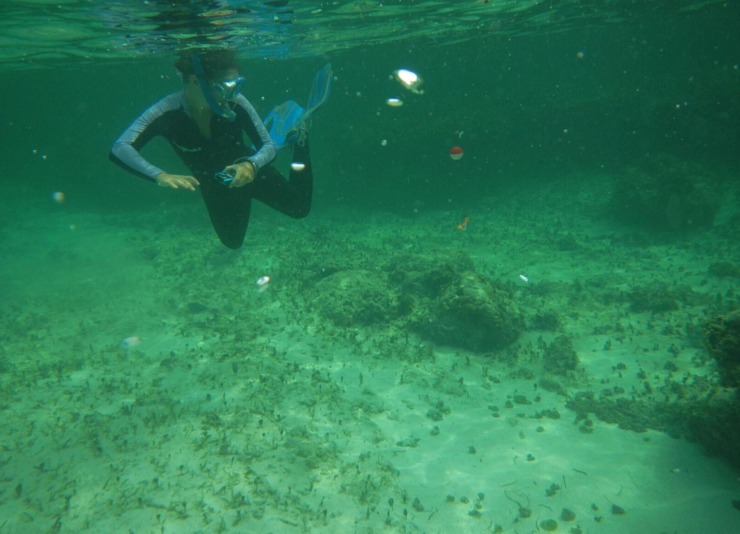 在巴哈马群岛，一名学生用浮潜在水面下游泳
